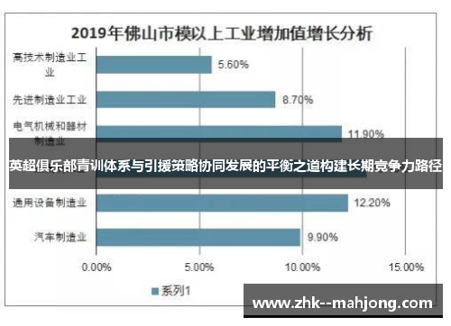 英超俱乐部青训体系与引援策略协同发展的平衡之道构建长期竞争力路径